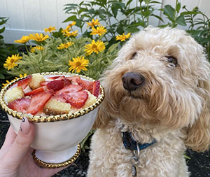 Discover our products on Instagram